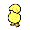 お問合せ先で～す